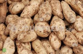 Shakarkandi (Sweet Potato)