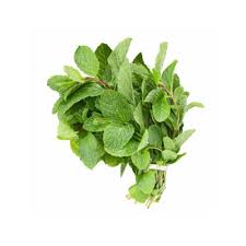 Podina (Mint)