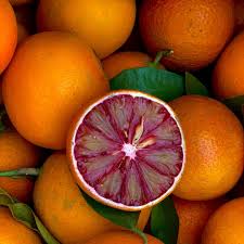 Red Blood Orange (Malta)