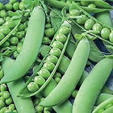 Matar (Green Peas)