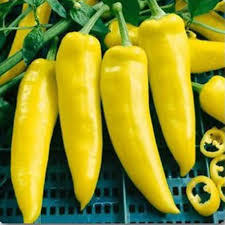German Mirch (Banana Pepper)