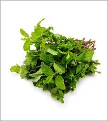 Podina (Mint)