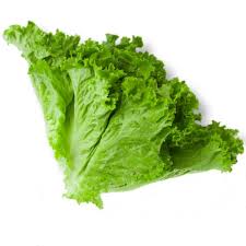 Salad Pata (Lettuce)